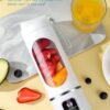 PORTABLE JUICER