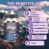 DAYNEE SHILAJIT OVERALL HEALTH THERAPY 1000MG - Sourced from the HIMALAYAN MOUNTAINS - (60 VEGANS GUMMIES)