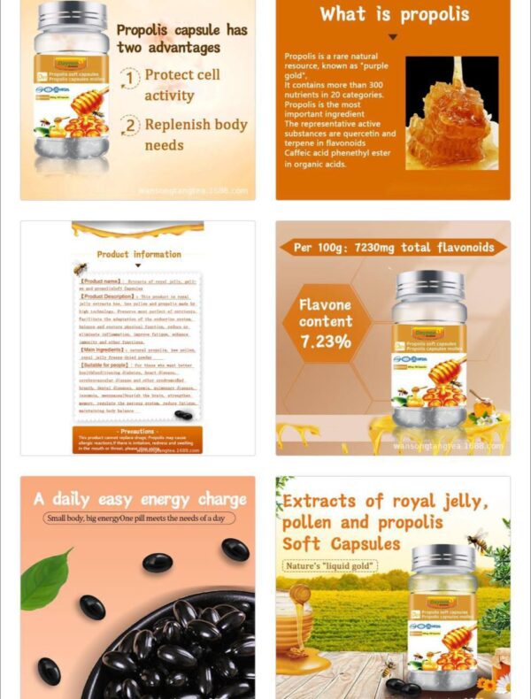 DAYNEE PROPOLIS SOFT CHEWABLE CAPSULES (100 CAPSULES)