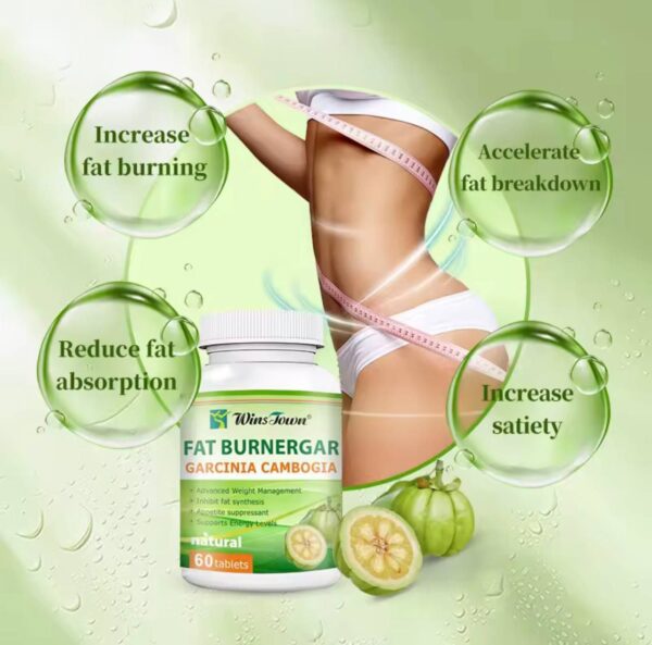 WINS JOWN SUPPRESS APPETITE FAT BURNERGAR  CAPSULES - FAT BURNER (60 TABLETS)