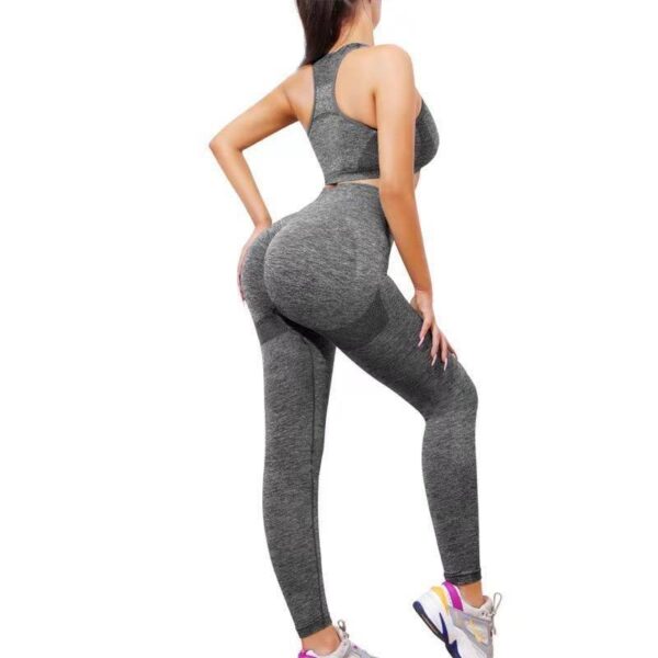 2PCS SEAMLESS HIGH STRETCH LADIES GYM WEAR SET – LONG HIP HUGGING TUMMY CONTROL LEGGINGS & PADDED TOP BRA