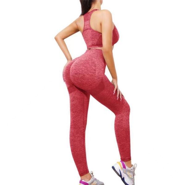 2PCS SEAMLESS HIGH STRETCH LADIES GYM WEAR SET – LONG HIP HUGGING TUMMY CONTROL LEGGINGS & PADDED TOP BRA