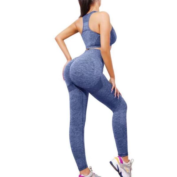 2PCS SEAMLESS HIGH STRETCH LADIES GYM WEAR SET – LONG HIP HUGGING TUMMY CONTROL LEGGINGS & PADDED TOP BRA