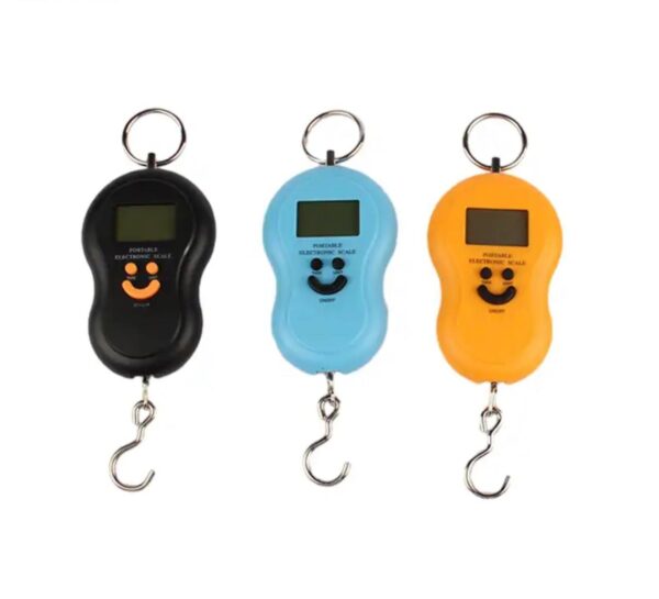 50KG/10G LCD BATTERY OPERATED DIGITAL HANGING SCALE