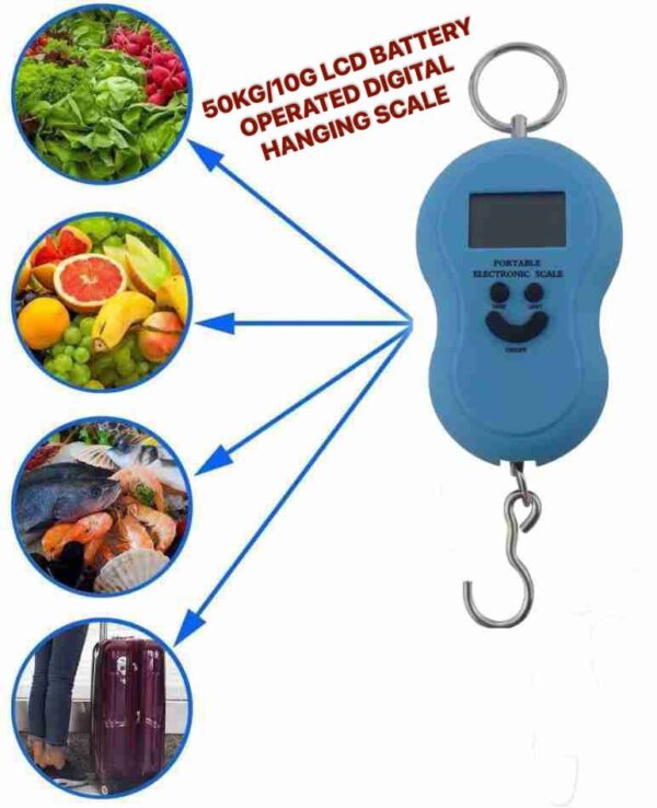 50KG/10G LCD BATTERY OPERATED DIGITAL HANGING SCALE