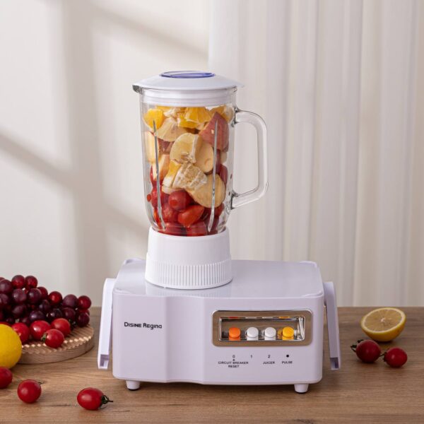 DISNIE REGINA (800W) 4in1 FOOD PROCESSOR  - JUICER, BLENDER, CHOPPER, GRINDER