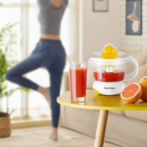 IMG_20260221_161231_375 700ML DISNIE REGINA ELECTRIC CITRUS JUICER (JUICE EXTRACTOR)