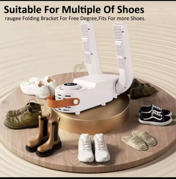 2-IN-1 SHOE DRYER & DEODORIZER