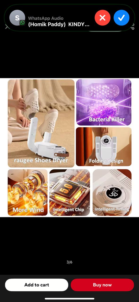 2-IN-1 SHOE DRYER & DEODORIZER