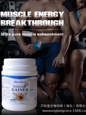 WEIGHT GAINER (HIGH PROTEIN GAINER)  SIZE: 450gram