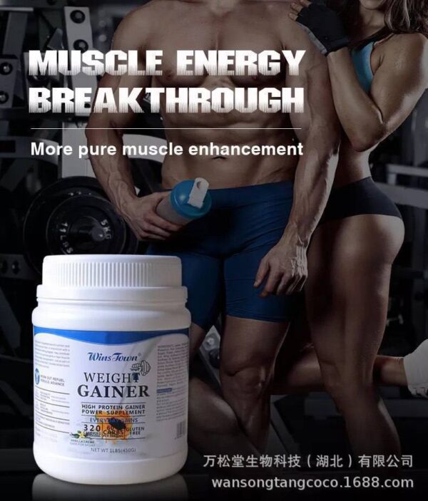 WEIGHT GAINER (HIGH PROTEIN GAINER)  SIZE: 450gram
