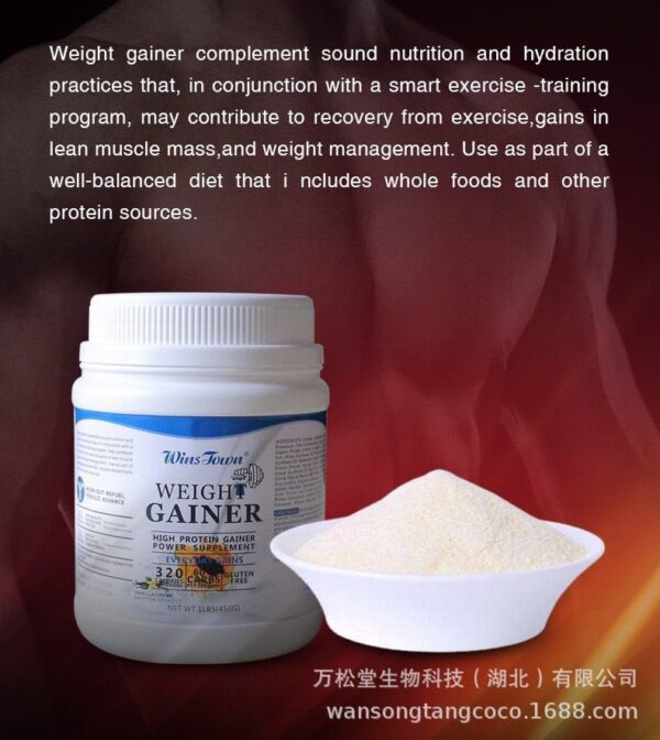 WEIGHT GAINER (HIGH PROTEIN GAINER)  SIZE: 450gram