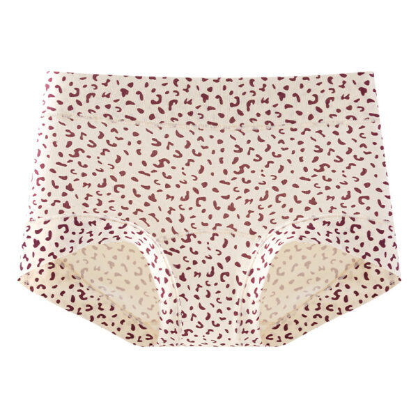 🔥 ANTIBACTERIAL SEAMLESS COTTON PANTIES 🔥