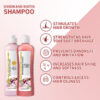 YILEST ONION & BIOTIN HAIR CARE SET