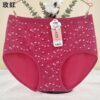 🔥 HIGH WAIST COTTON PANTIES 🔥
