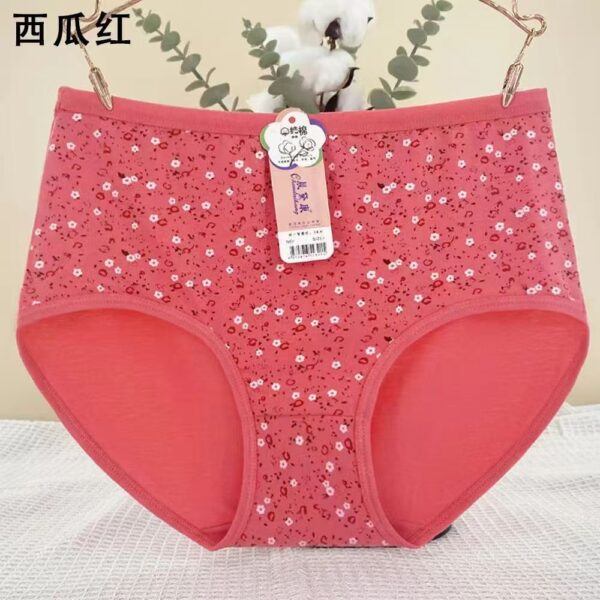 🔥 HIGH WAIST COTTON PANTIES 🔥