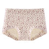 🔥 ANTIBACTERIAL SEAMLESS COTTON PANTIES 🔥