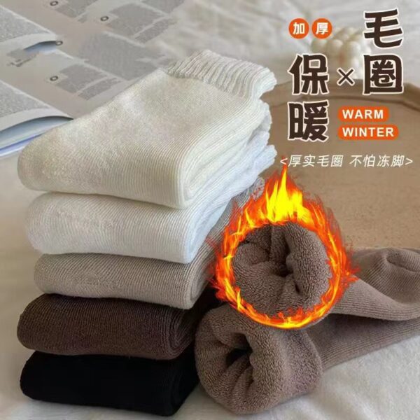 1688_image_share_6046d07048620dfd830f90c71bac5ff2 FLEECE-LINED THERMAL SOCKS