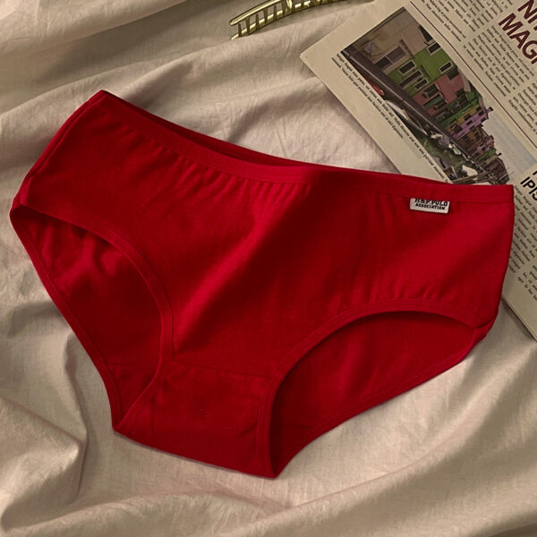 🔥 PURE COTTON PANTIES FOR LADIES 🔥