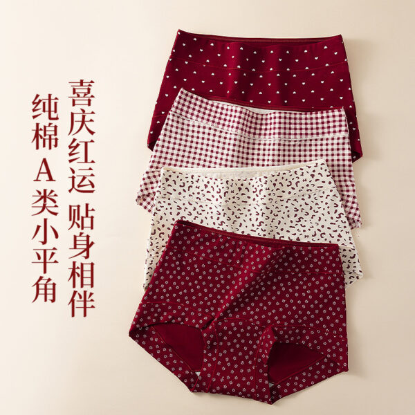 🔥 ANTIBACTERIAL SEAMLESS COTTON PANTIES 🔥