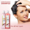YILEST ONION & BIOTIN HAIR CARE SET