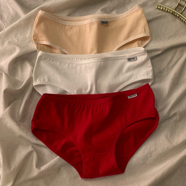 🔥 PURE COTTON PANTIES FOR LADIES 🔥