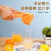 PORTABLE MANUAL FRUIT JUICER