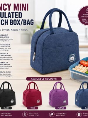 FANCY MINI INSULATED LUNCH BOX