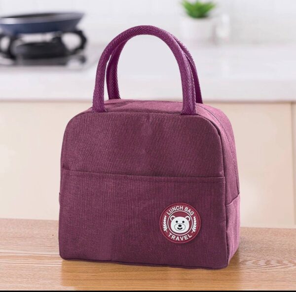FANCY MINI INSULATED LUNCH BOX