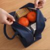 FANCY MINI INSULATED LUNCH BOX
