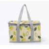 IMG_20260908_145640_295 PORTABLE INSULATED PICNIC BAG