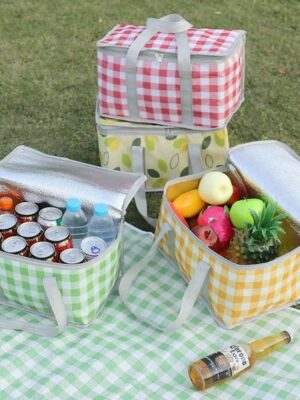 PORTABLE INSULATED PICNIC BAG