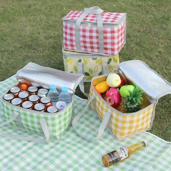 IMG_20260908_145640_785 PORTABLE INSULATED PICNIC BAG